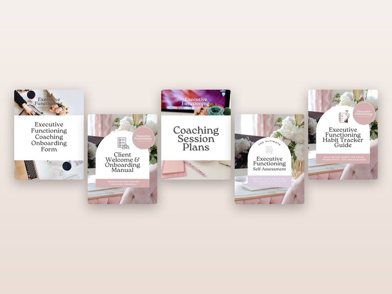 Executive Functioning Coach Client Kit preview