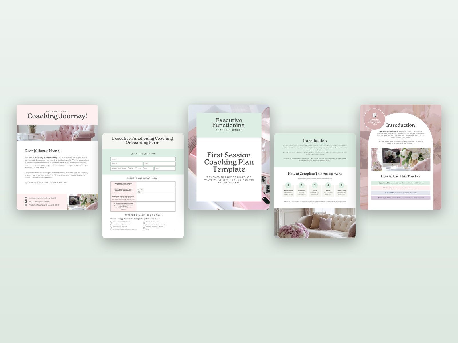 Executive Functioning Coach Client Kit preview 2