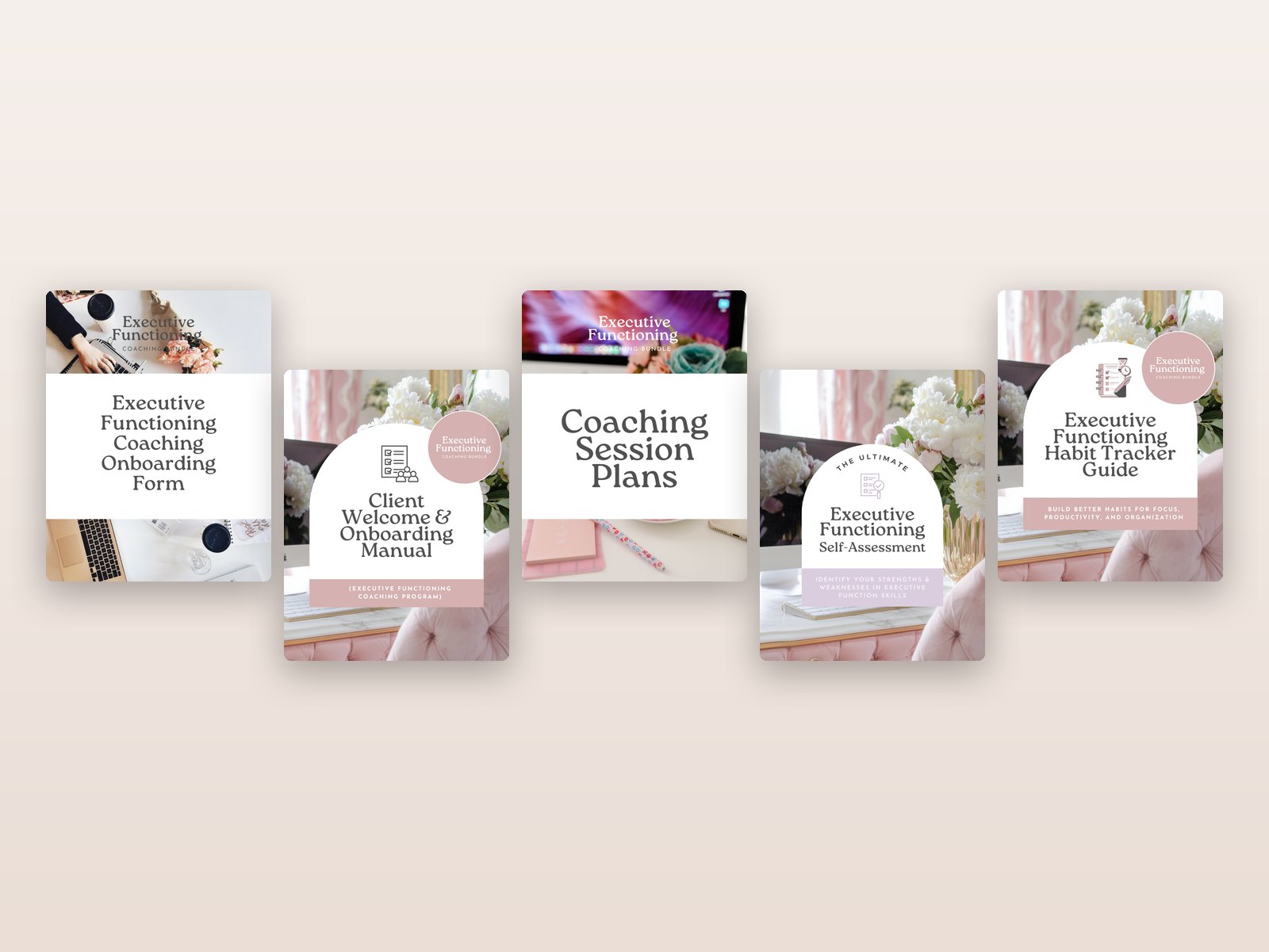 Executive Functioning Coach Client Kit preview 1